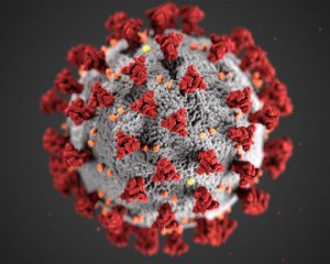 Сім днів на медичній масці і добу на картоні — скільки може прожити коронавірус на поверхні