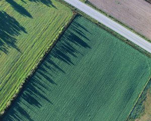 "Велика сімка" прокоментувала запуск ринку землі в Україні