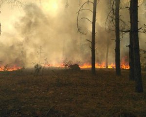 В Чорнобильській зоні відчуження почалася пожежа