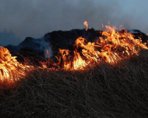 Радиация в норме: подробности тушения пожара в Чернобыльской зоне