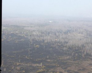 На Житомирщині лісові пожежі - гасить авіація