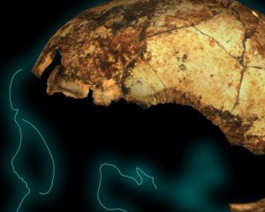 На 200 тыс. лет старше, чем считали: нашли череп древнейшего человека