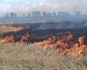 Уряд пропонує збільшити штрафи за підпалювання трави