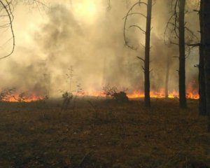 Палію Чорнобильського лісу вручили підозру