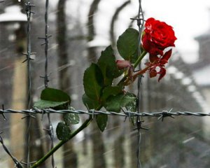 Поклав квіти: президент вшанував пам&#039;ять в&#039;язнів нацистських концтаборів