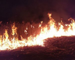 В Житомирській області затримали підпалювачів, які викликали численні пожежі в регіоні