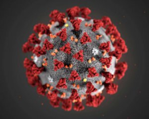 Без вакцини коронавірус не зникне