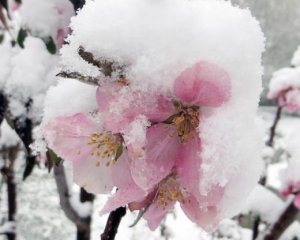 Заморозки и дождь со снегом: синоптики шокировали прогнозом на начало недели