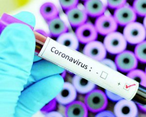 Нашли 38 антител, которые нейтрализуют коронавирус в крови пациентов