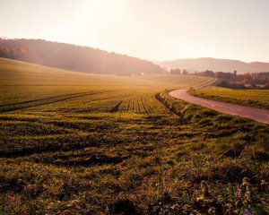 Скільки українців чекають на відкриття ринку землі: опитування