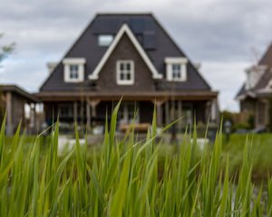 Аренда загородных домов подорожала на 50%: почему выросла цена