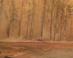 Із зони відчуження повідомили невтішні новини