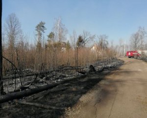 Почему пожар в Чернобыле не могут потушить