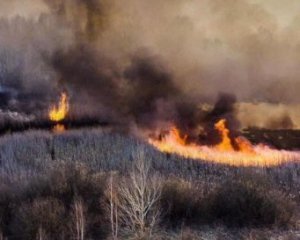 Необходимо созвать СНБО из-за ситуации с пожарами вокруг столицы - Арьев