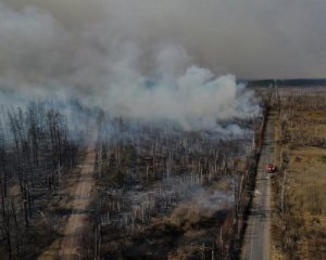 Спасатели объяснили, почему так долго тушат лес на Житомирщине