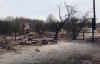 Выгоревшие село, все в пепле: показали ужас последствий поджога травы