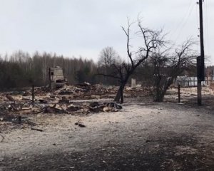 Вигогірле село, все у попелі: показали жах наслідків підпалу трави