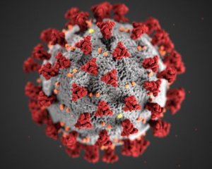 Свидетельств о выработанном иммунитете к коронавируса нет - ВОЗ