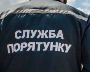 Спасатели тушат четыре очага пожара под Чернобылем