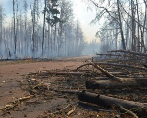 Чорнобиль після лісових пожеж зняли з висоти пташиного польоту