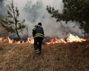 В Украине успешно борются с лесными пожарами