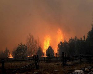 Пожежі на Житомирщині: назвали одну з причин загорання