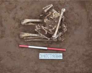 Скелеты на коленях - археологи нашли необычное захоронение