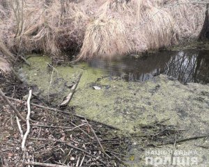 Зниклу 4 місяці тому жінку знайшли мертвою в іншому районі