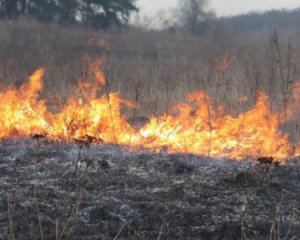 Пенсіонер згорів живцем на пасовищі