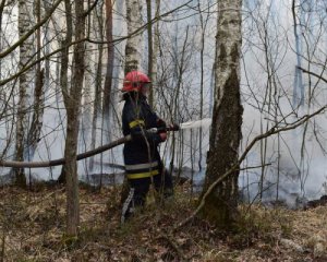 Пожар на Житомирщине: опять горит лес