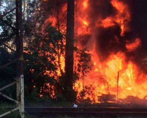 Пожежі в Чорнобильській зоні знищили понад 11 гектарів заповідника