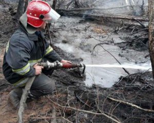 Рятувальники продовжують гасити окремі осередки тління у Чорнобильській зоні