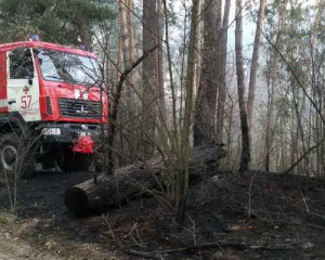 На Харківщині загорілось 20 га лісу