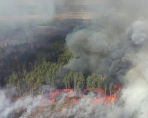 В Житомирской обл. снова горит лес