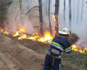В Житомирской области продолжаются пожары