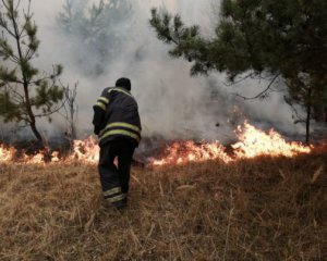 У Житомирській області ліквідували ще одну пожежу