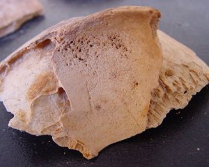 Раскопали некрополь с останками людей, которые не болели кариесом