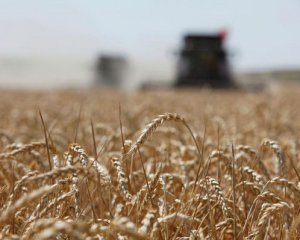 У Мінекономіки повідомили прогноз щодо  врожаю зерна