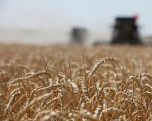 Одеським аграріям частково відшкодують майбутні збитки від посухи