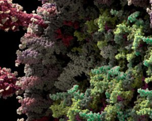 Можна добре роздивитися: створили яскраву модель коронавірусу