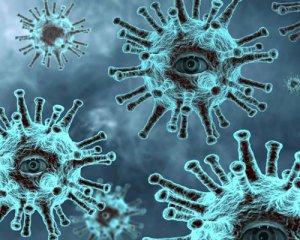 Вогнище коронавірусу виявили на Житомирщині