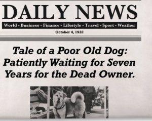 Самый верный в мире пес умер от рака