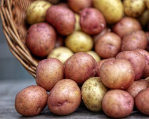 Фермеры рискуют не продать молодой картофель