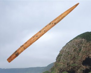 Нашли стрелу с ядом, которой 60 тыс. лет