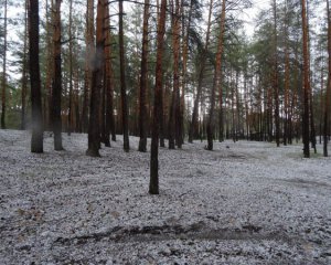 На Донеччину обрушился град