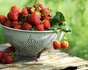 От клубники до дынь: сколько стоят фрукты и ягоды на украинских рынках