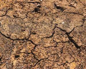 "Відходимо від шоку і страху": у Прикарпатті стався землетрус