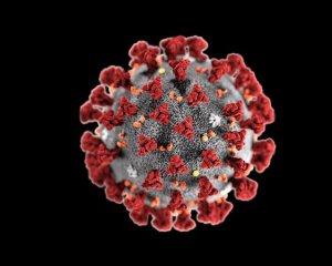 в Іспанії за добу не зафіксували жодного летального випадку від коронавірусу