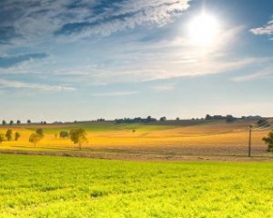 Коли іноземцям дозволять купувати українські землі