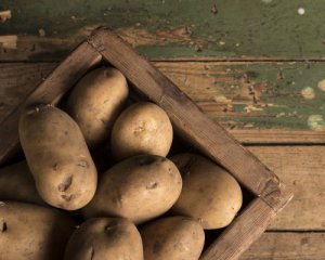 Технічна картопля: чи безпечно їсти продукт, який масово завозять в Україну